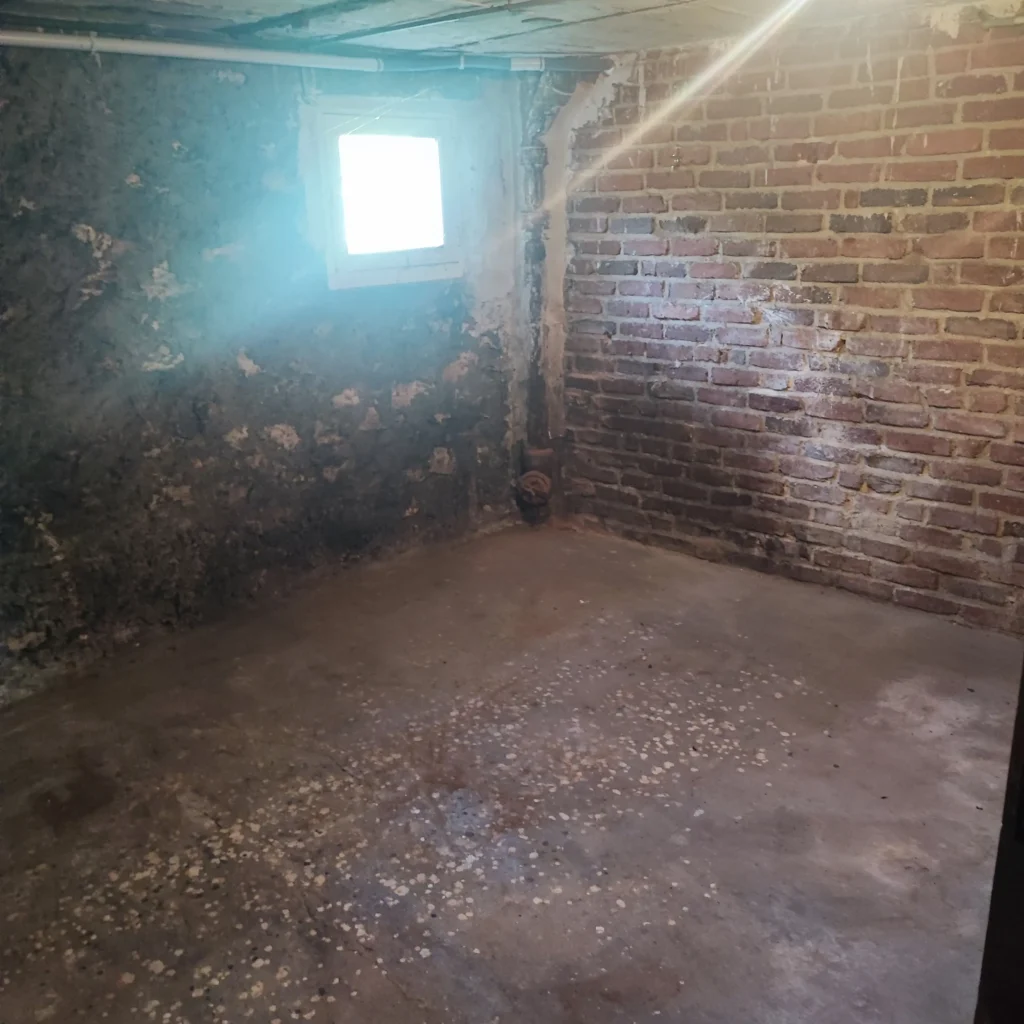 cave2 vide après débarras pavillon de 250m2 à Sceaux 92