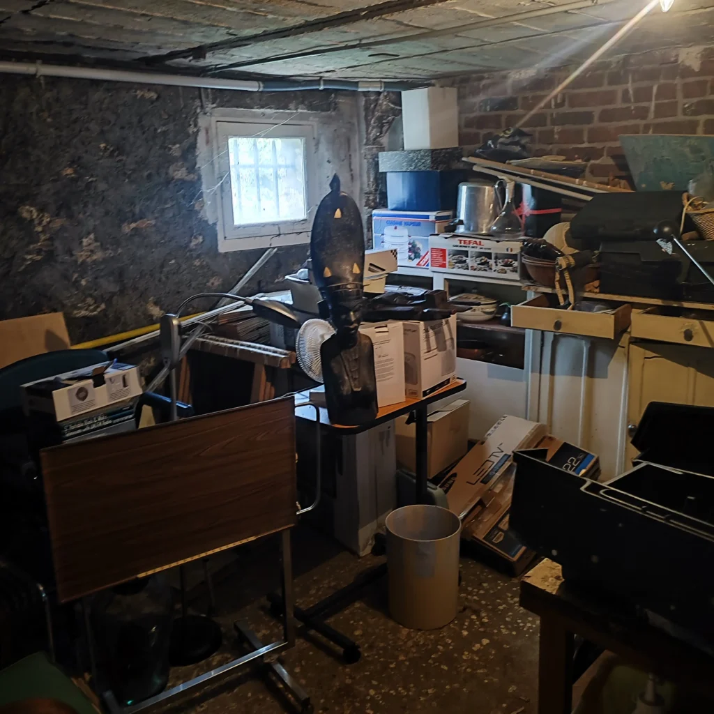 cave2 encombrée avant débarras pavillon de 250m2 à Sceaux 92